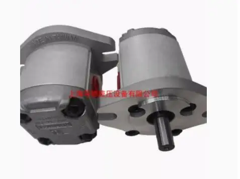 HYDROMAX gear pump HGP-1A-F1R HGP-1A-F2R HGP-1A-F3R HGP-1A-F4R HGP-1A-F5R HGP-1A-F6R HGP-1A-F8R HGP-1A-F2.6R HGP-05A-F03R - Image 2