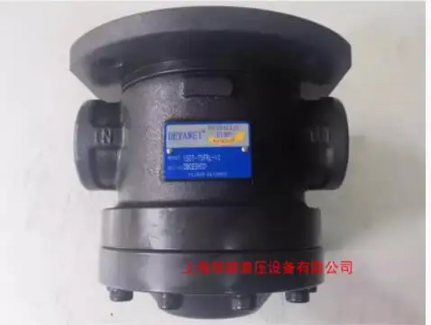 DEYAWEI hydraulic oil pump VP2-40-40-FA3 VP2-30-30-FA3 VP-12-FA3 VP-20-20-FA3 VP-20-FA3 VP-40-FA3 VP-30-FA3 VP-15-FA3 - Image 3