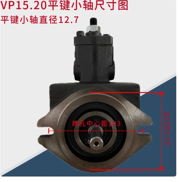 VP-SF-15-D VP-SF-20-D VP-SF-30-D VP-SF-40-D VP-SF-12-D JUN TAI low-pressure variable vane pump - Image 5