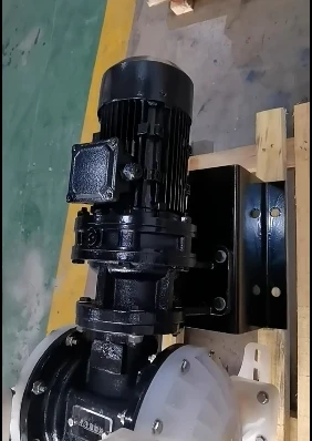 DBY-15F46 DBY-25F46 DBY-40F46 DBY-50F46 DBY-65F46 DBY-80F46 DBY-100F46 DBY3-25PP+F46 LVBANG electric diaphragm pump - Image 4