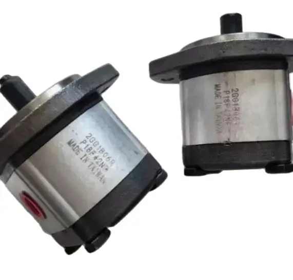 High pressure gear pump 2GG1B11R 2GG1B14R 2GG1B16R 2GG1B05R 2GG1B04R 2GG1B07R 2GG1B06R 2GG1B09R 2GG1B08R - Image 2