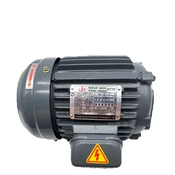 JUN TAI horizontal three-phase hydraulic motor AEEH-80L-4/1HP/0.75KW-380V /90L-4/2HP/1.5KW /100L-4/3HP/2.2KW/112M-4/5HP/3.7KW - Image 5