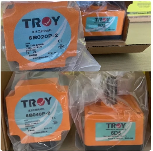 TROY DC brushless motor 6B020P-2 6B020P-2N 6B020P-1 6B020S-2 6B020P-1N 6B040P-2 6B040P-1N 6B040P-2N 6B040P-2NM 6B040P-D - Image 5